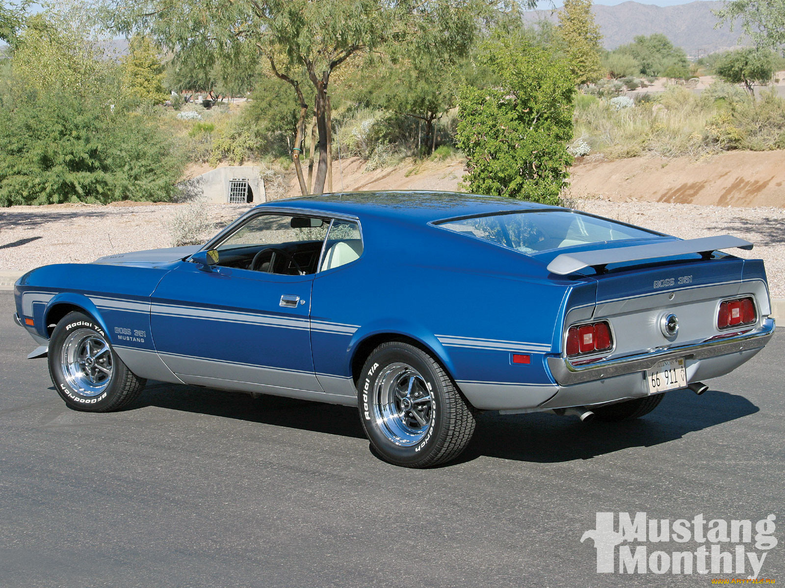 , mustang